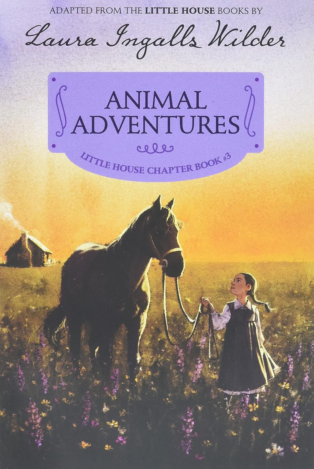 Animal Adventures